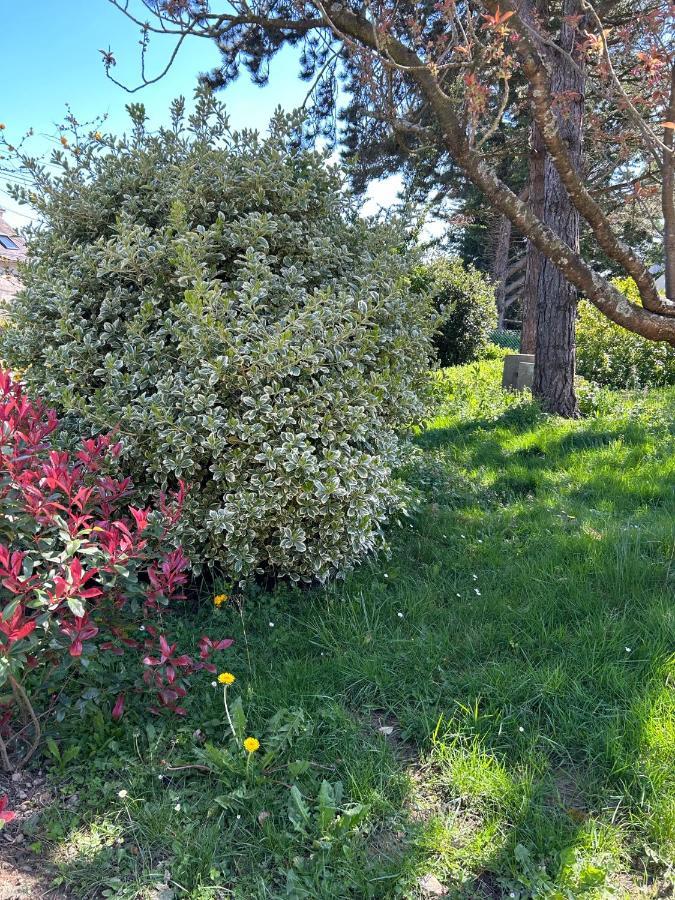 Arc En Ciel Du Mont Bed & Breakfast Pontorson Dış mekan fotoğraf