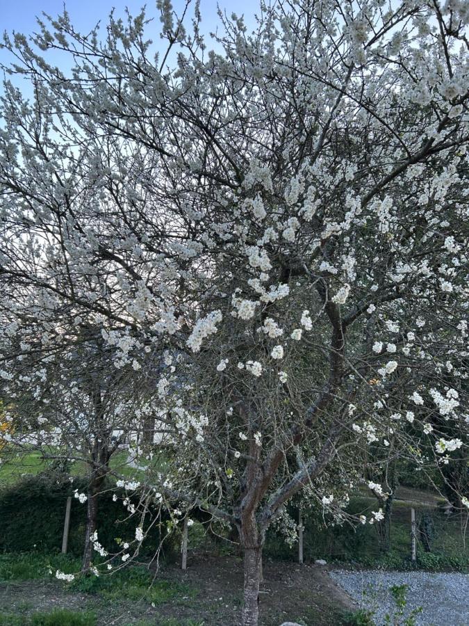 Arc En Ciel B&B Pontorson Dış mekan fotoğraf