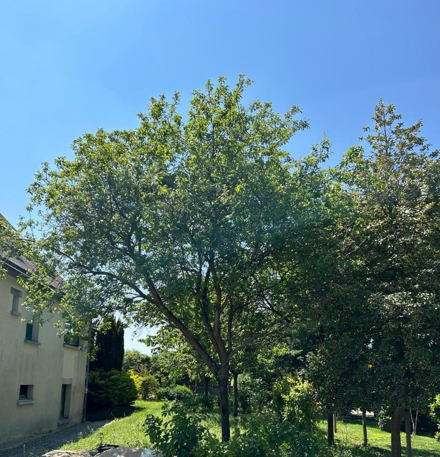 Arc En Ciel Du Mont Bed & Breakfast Pontorson Dış mekan fotoğraf